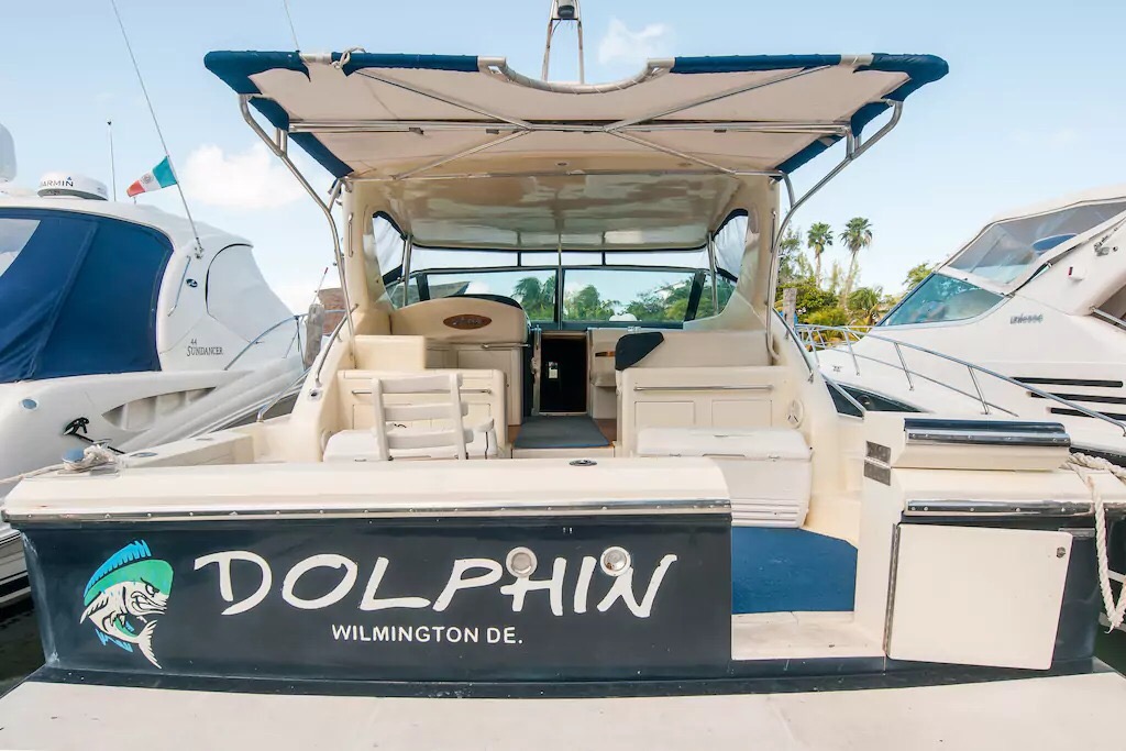 Popa del yate Dolphin para pesca