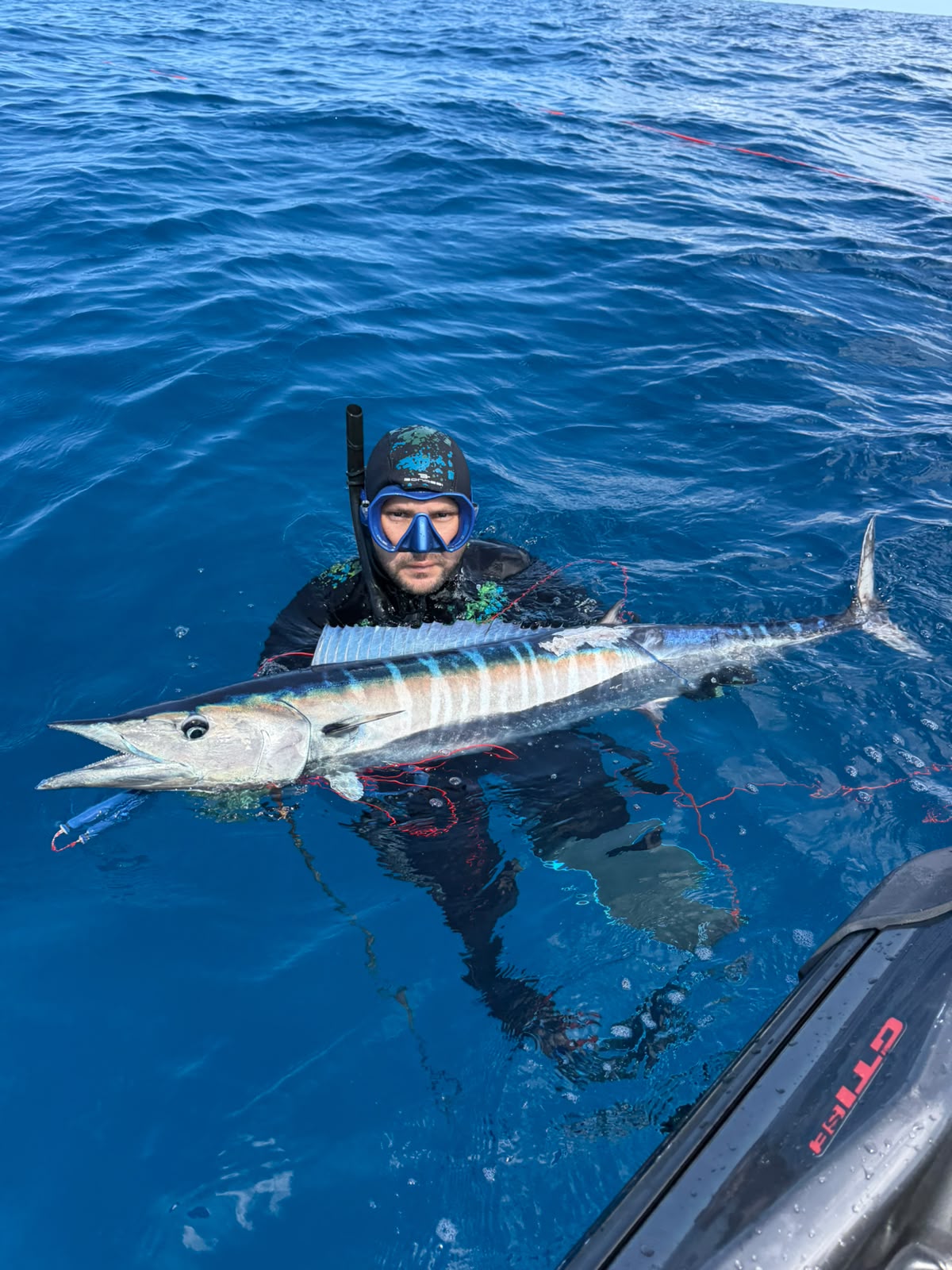 wahoo